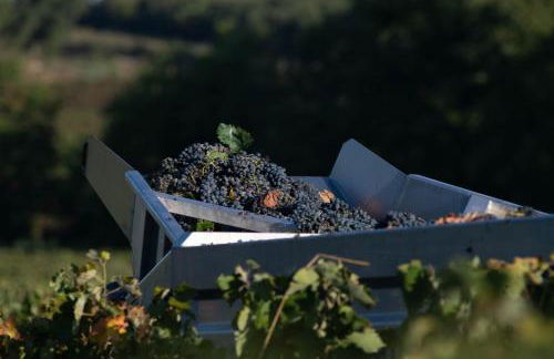 Le Portail d'Airain - Foto 55