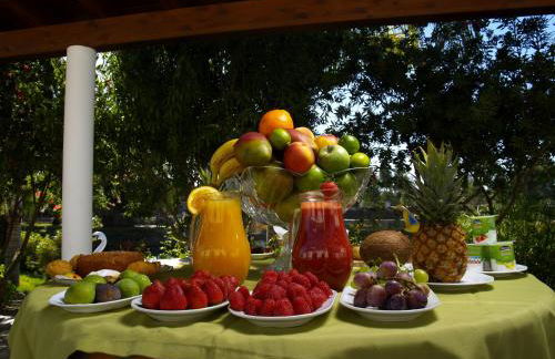 Herdade do Sardanito da Frente - Foto 66