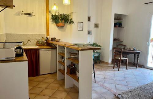 Mas de la Sacristière - Photo 54