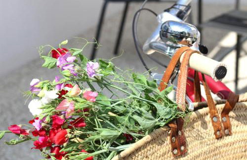 Le Clos des Vieux Moulins - Foto 19