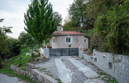 PLATS Traditional Living - Foto 10