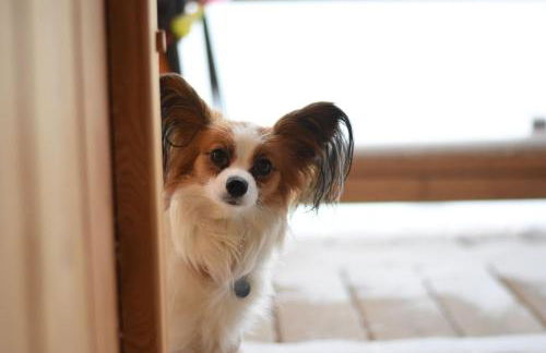 Chalet Lodge Oberig Exclusive - Foto 47