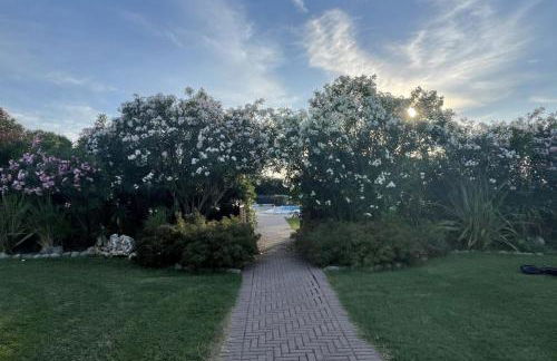 Calilla Home - appartamento Maestrale - Foto 13