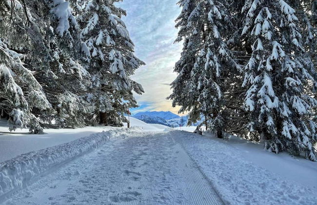 Cosy Chalet With top View - Foto 33