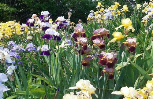 Holiday Home Martin - Foto 27