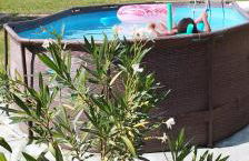 Mas en Provence - Photo 45