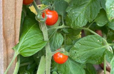 Vermont Lake Whitingham Mount Snow Area Apartment - Foto 17