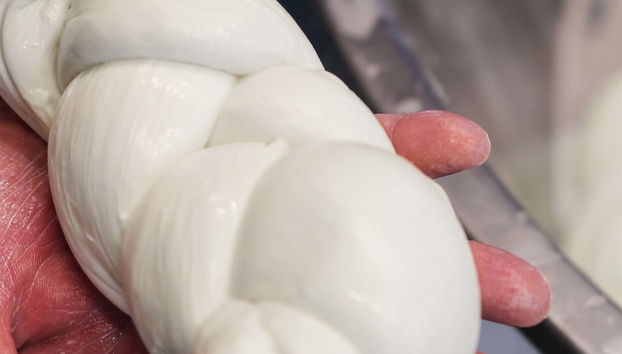 Paestum Cheese Factory Visit - Foto 5