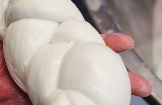 Visite d'une fromagerie à Paestum - Photo 5