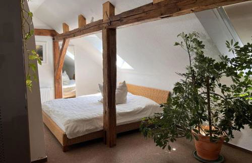 Ostseetraum Lischow - Foto 11