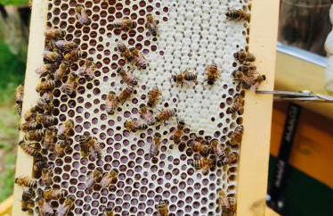 Il Giardino Dorato - Foto 60