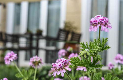 Villa Vasiliki - Foto 20