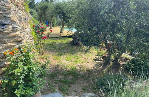 Rivolta home - Foto 16