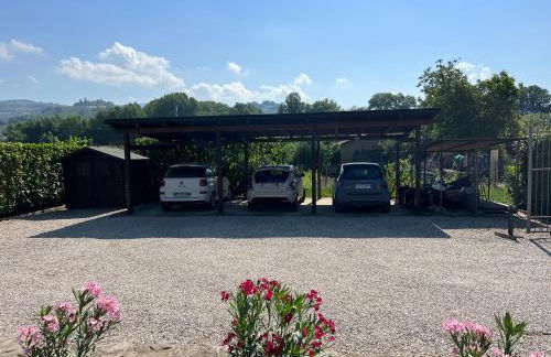 Assisi, la Noce - Foto 23