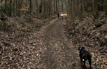 Ferienwohnung Weitblick - Foto 55