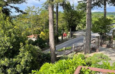 Casa Kuraj - Foto 11