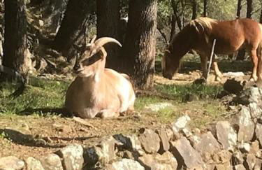 Le Mas de la Grenouillère - Foto 41