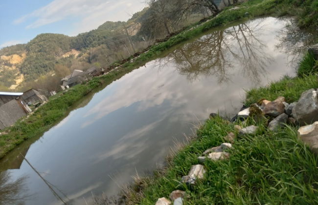 Room in Guest Room - Cozy Rural Retreat in Roşia Montana - Photo 63