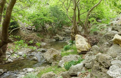 Mesavlia Traditional Stone House - Photo 48