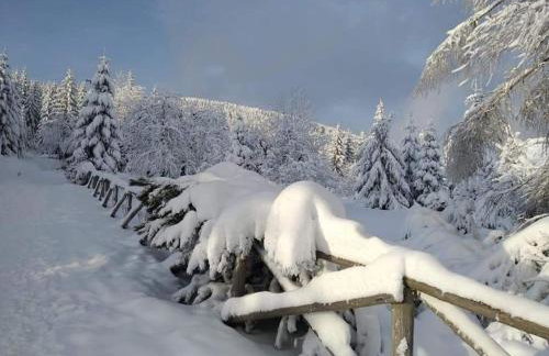 Przystanek Leszczyniec w Sudetach z jacuzzi - za dopłatą - Foto 31