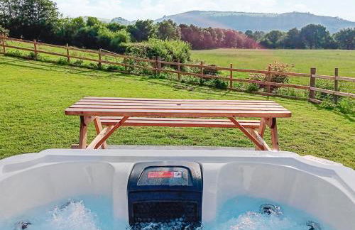 Teifi Cottage - Uk49590 - Foto 1