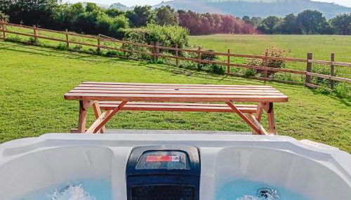 Teifi Cottage - Uk49590 - Foto 1