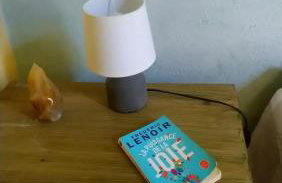 Appartement dans la ville médiévale de Sauve avec terrasse - Foto 11