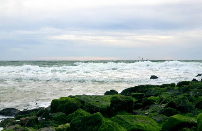 Ferienwohnung in Westerland auf Sylt - Foto 40