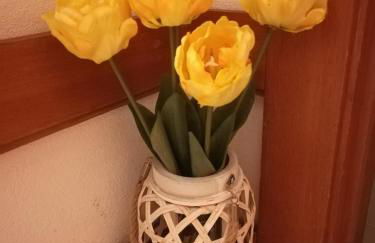 NATURE e SPA AL - Termas Saúde e Beleza, Totalmente Renovado - Piscinas Municipais em frente - Epoca Julho a Setembro - Foto 37