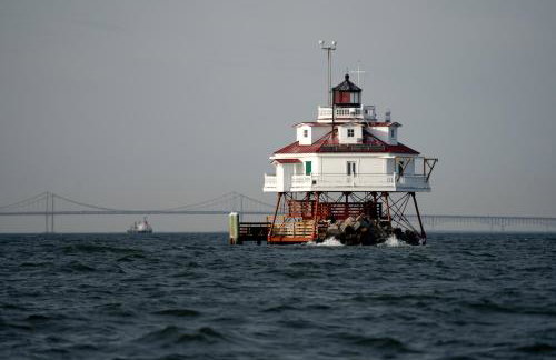 Luxury Condo, Rooftop Pool & Dock, 3 to Downtown - Foto 51