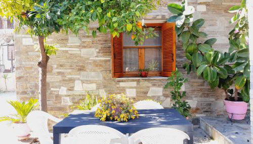 Alba Traditional Countryhouse New Anchialos village - Foto 4, Garden