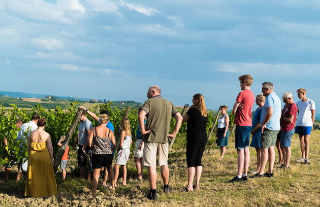 Agriturismo Streda Wine & Country Holiday - Photo 80