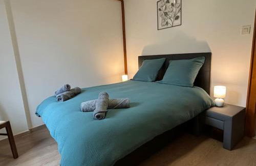 Gîte de la Fontaine Charmante maison au cœur de Beblenheim - Route des vins - Foto 10