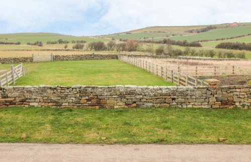 Street House Farm Cottage - Foto 28