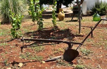 Trullo in vigna - Foto 39