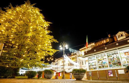 Large apartment in the historic center of Belluno - Foto 17
