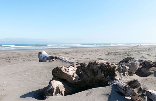 Carters Beach Holiday Studios - Foto 20