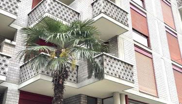 B&B Casa Frozen Molinette - Foto 4