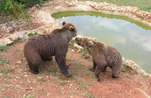 Holiday Home Modric - Foto 70