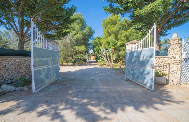 Masseria Le Palmentelle Pool And Garden - Photo 29