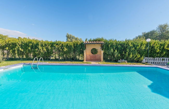 Hibiscus in Sa Pobla - Foto 28