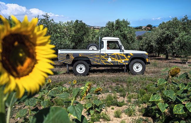A3Passi Agriturismo tra gli Ulivi - Foto 70