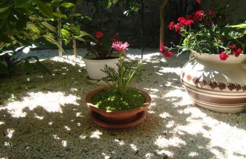 Studio Apartment Lile - Foto 11