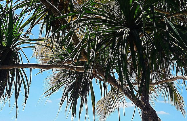 Ocean Dream Beach Villa - Foto 23