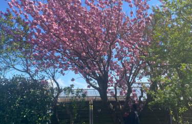 Authentic Travellers Suite in ehemaliger Gärtnerei - Foto 29