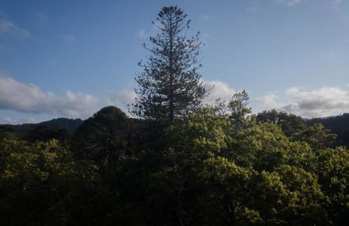 Canto`s Green Garden, Apartamentos Turísticos & SPA, 4 Estrelas - Photo 64