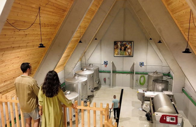 Enoturismo María Manuela - Photo 56