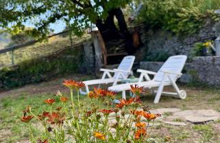 Maison traditionnelle avec vues sur St Michel - Foto 9