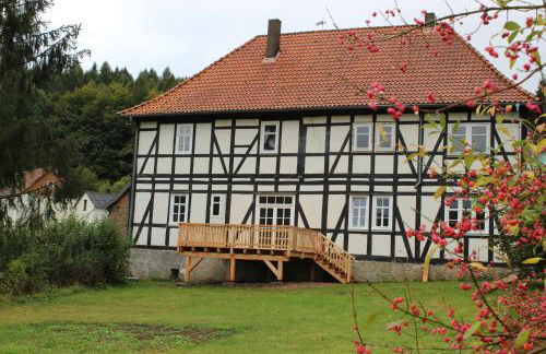 Forsthaus in Waldhessen - Foto 23