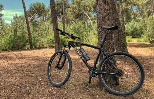 Casa do Largo - Exclusive Retreat - Patio & Pool - Foto 6